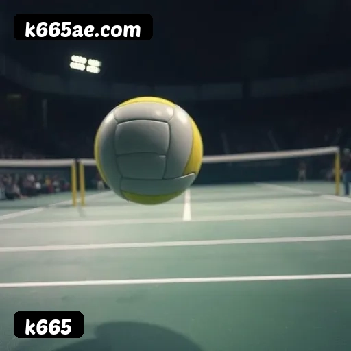 Guia visual quadrado da instalação APK k665